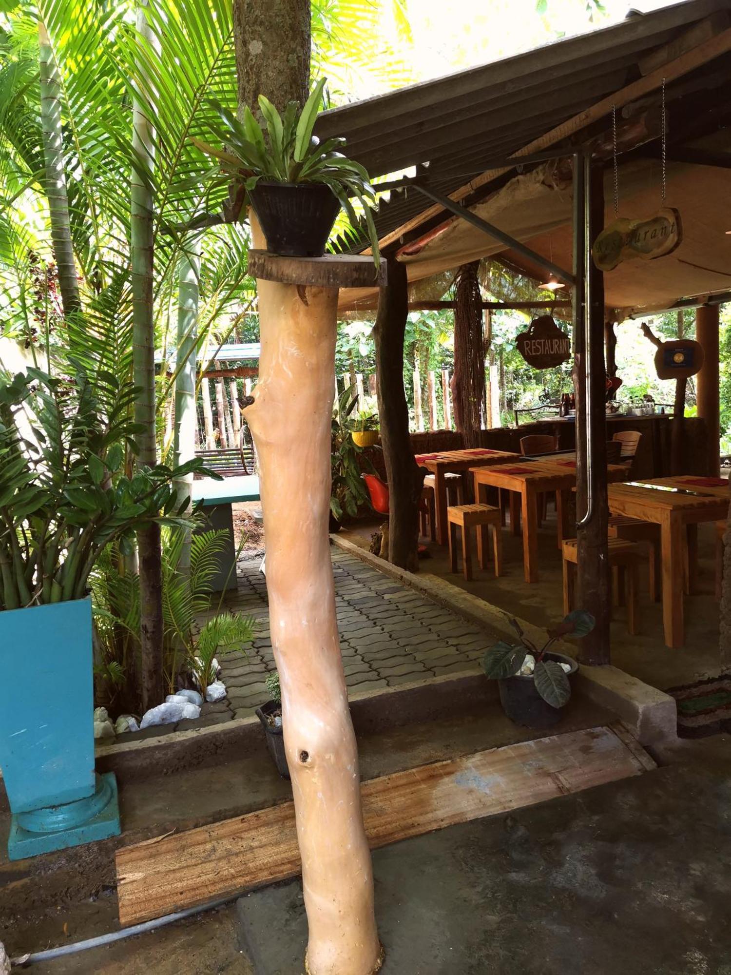 Peacock'S Paradise Safari Hostel Uda Walawe Extérieur photo